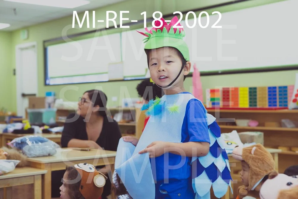 MI-RE-18-2002.jpg