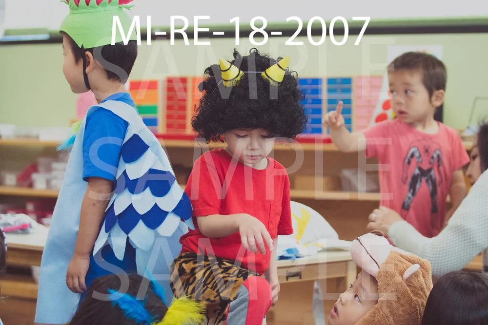 MI-RE-18-2007.jpg