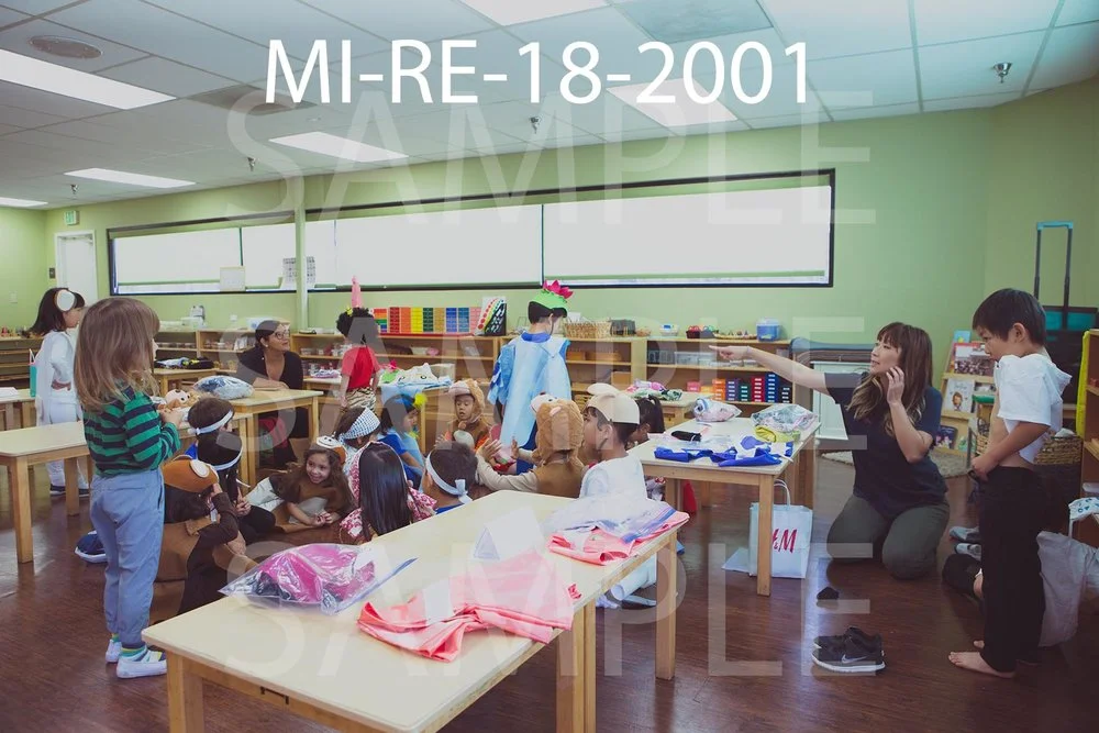 MI-RE-18-2001.jpg