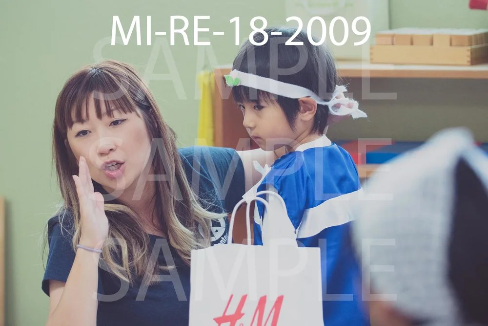 MI-RE-18-2009.jpg