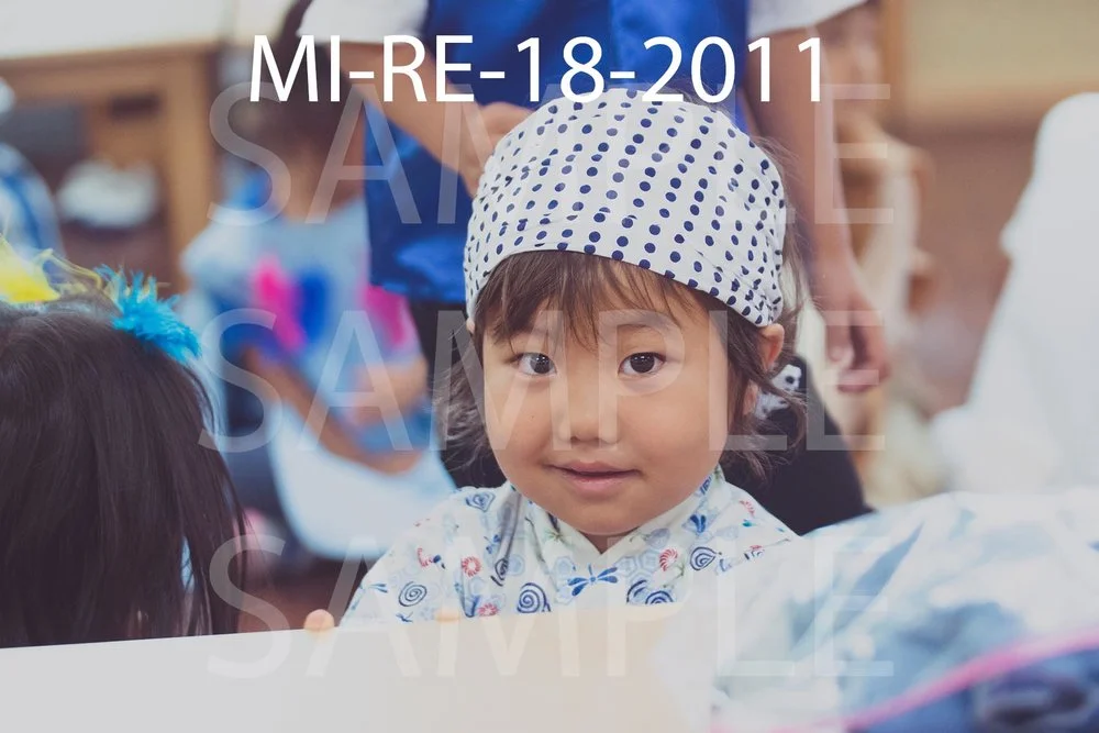MI-RE-18-2011.jpg