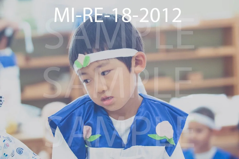 MI-RE-18-2012.jpg
