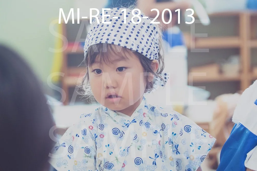 MI-RE-18-2013.jpg