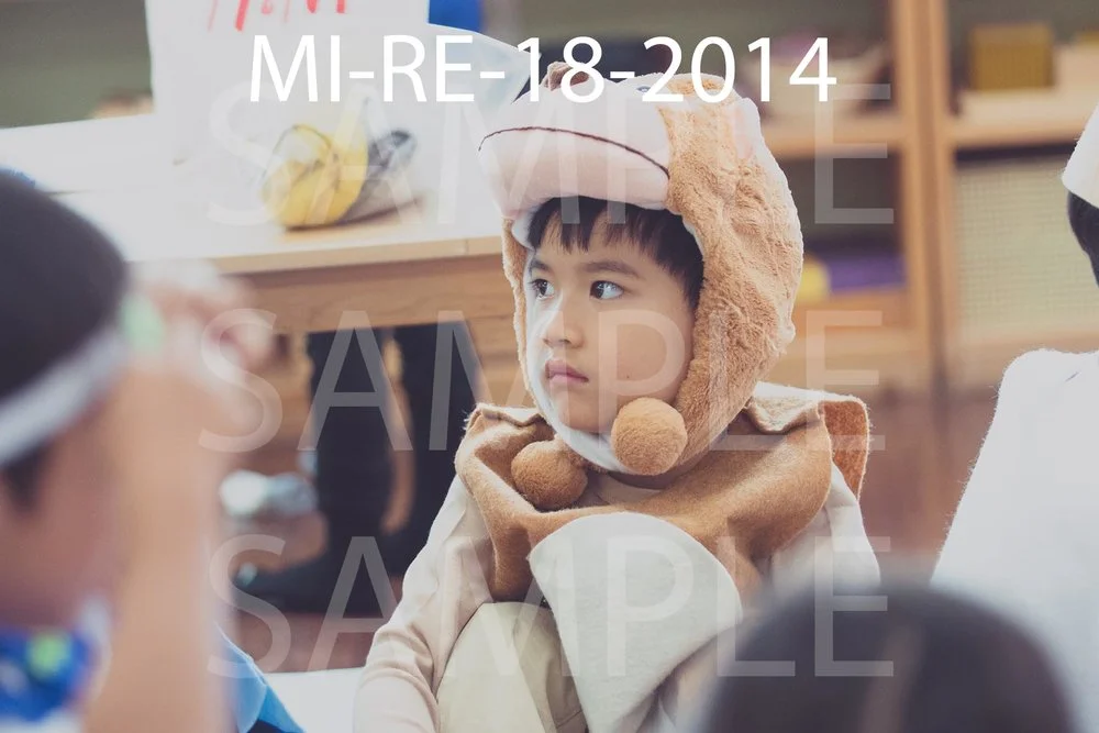 MI-RE-18-2014.jpg