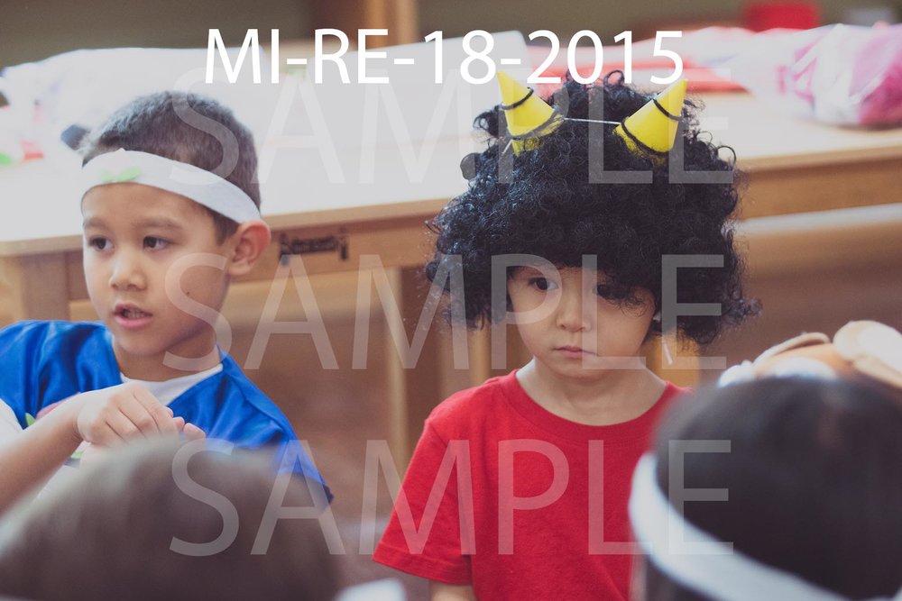 MI-RE-18-2015.jpg