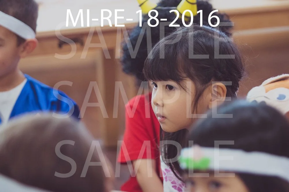MI-RE-18-2016.jpg