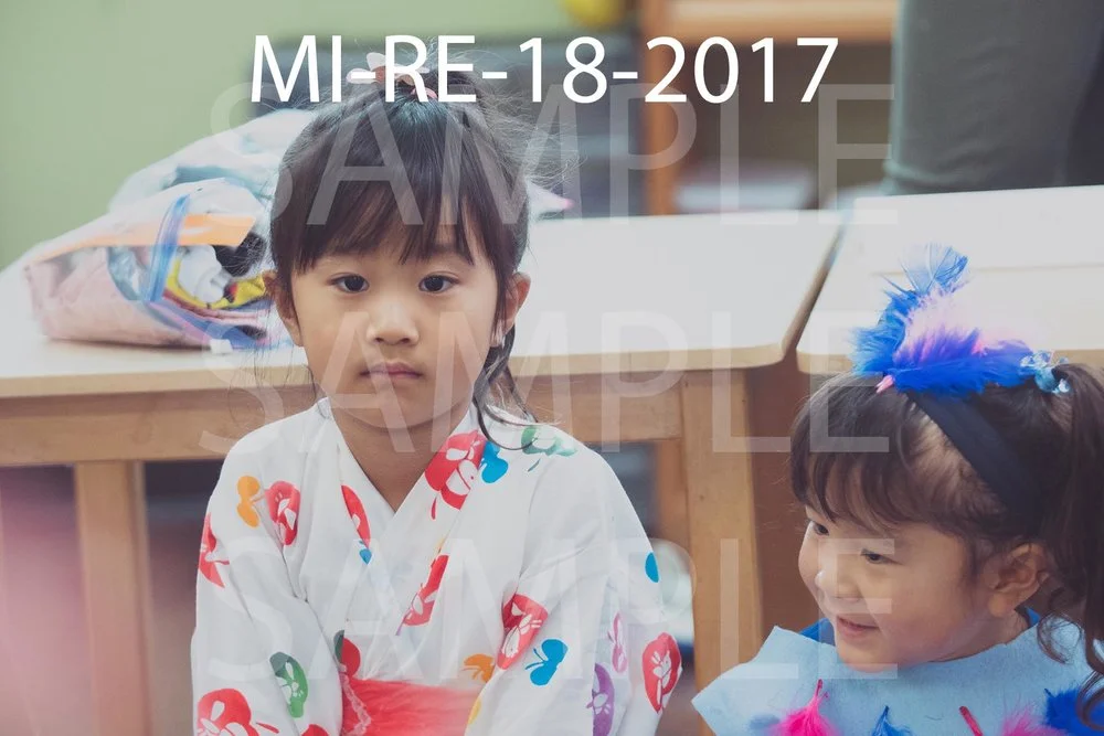 MI-RE-18-2017.jpg