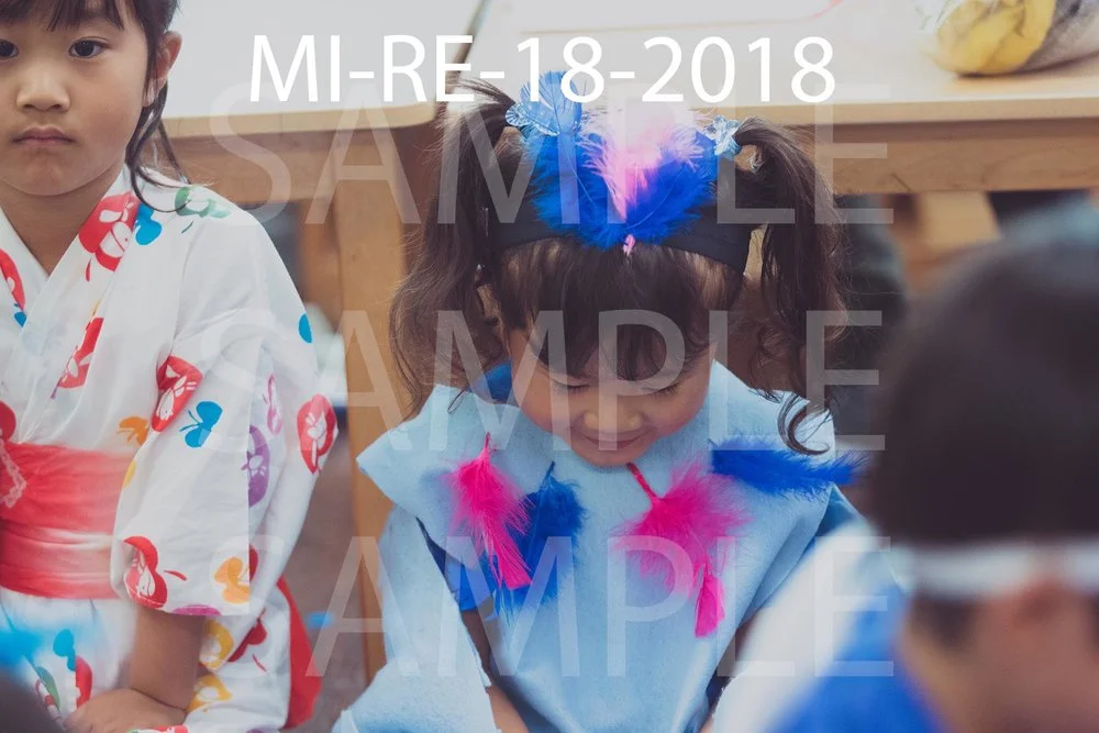 MI-RE-18-2018.jpg
