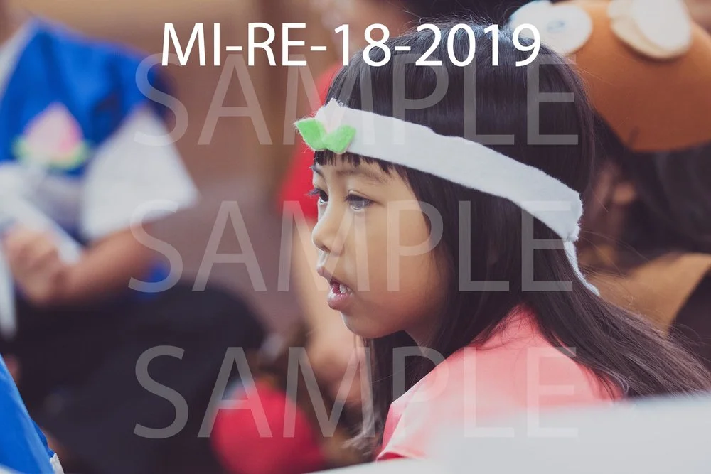 MI-RE-18-2019.jpg
