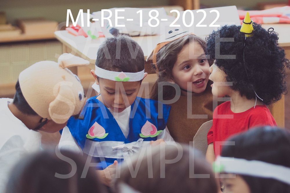 MI-RE-18-2022.jpg