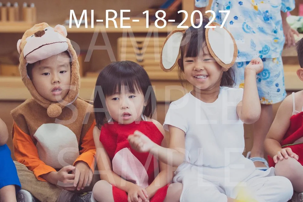 MI-RE-18-2027.jpg