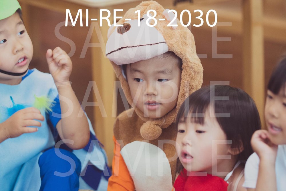 MI-RE-18-2030.jpg