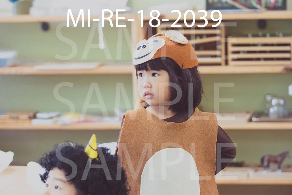 MI-RE-18-2039.jpg