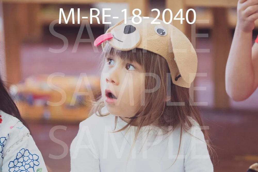 MI-RE-18-2040.jpg