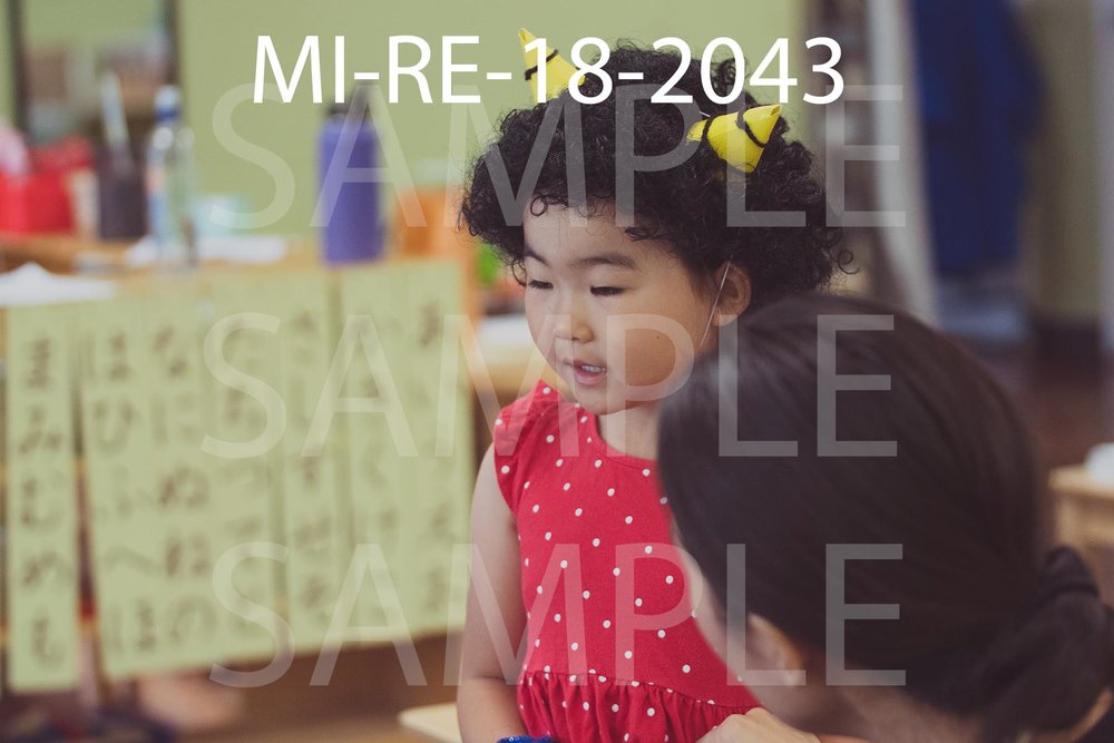 MI-RE-18-2043.jpg