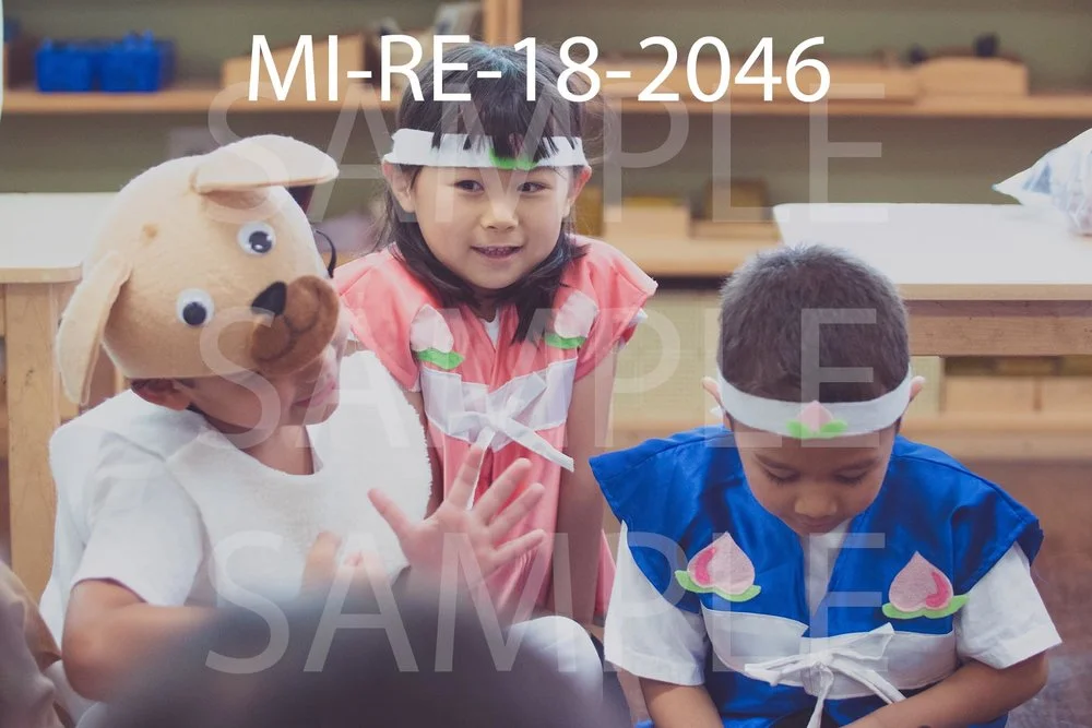 MI-RE-18-2046.jpg