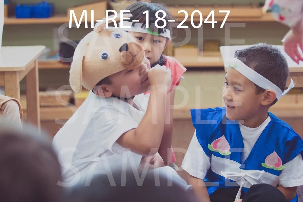 MI-RE-18-2047.jpg