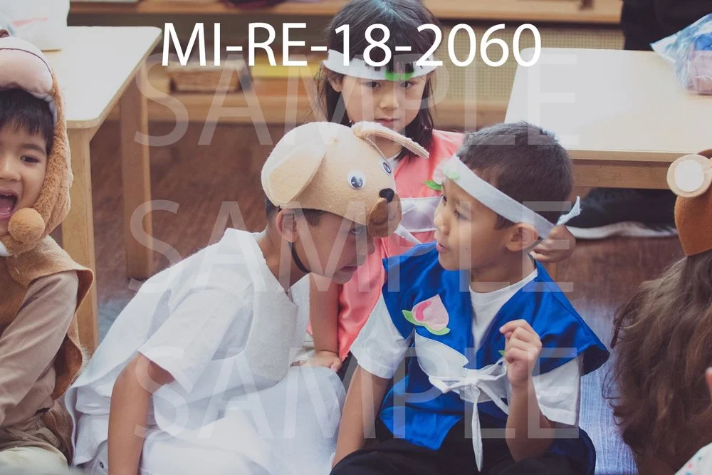 MI-RE-18-2060.jpg