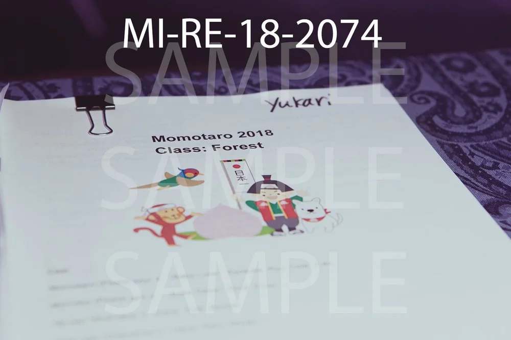 MI-RE-18-2074.jpg