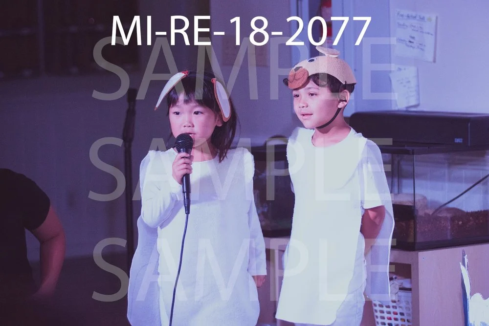 MI-RE-18-2077.jpg