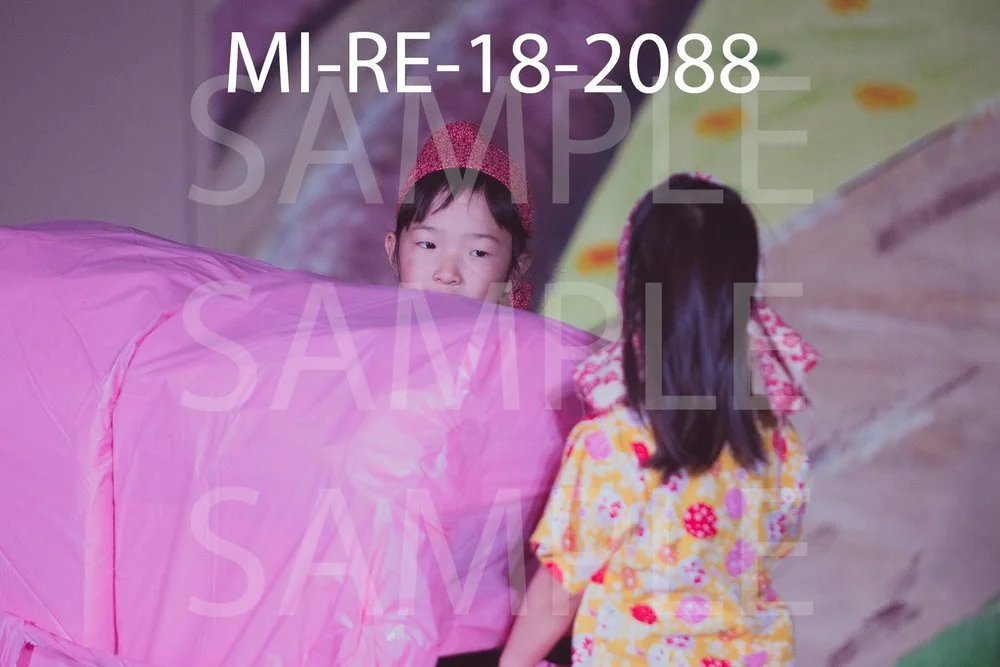 MI-RE-18-2088.jpg
