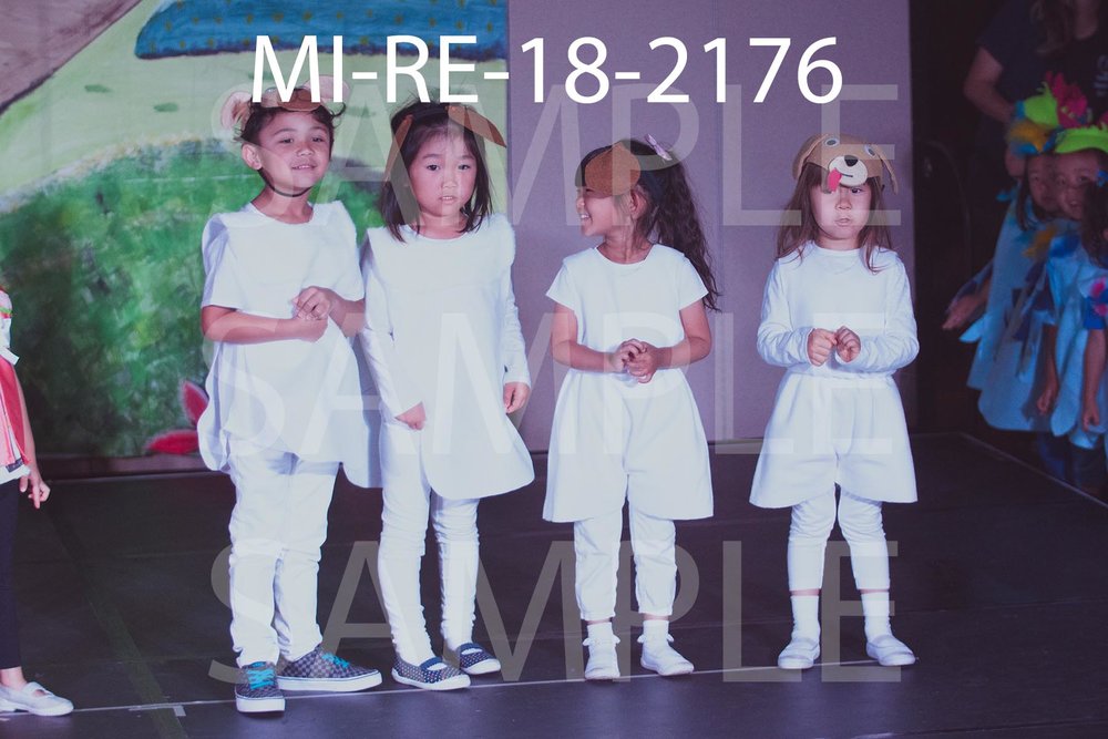 MI-RE-18-2176.jpg