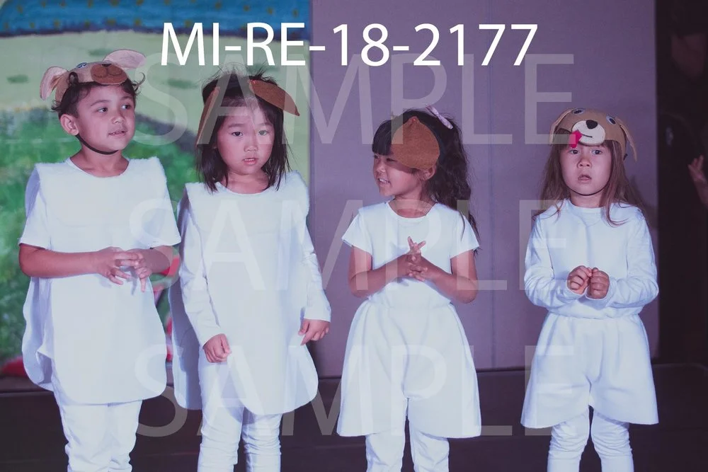 MI-RE-18-2177.jpg