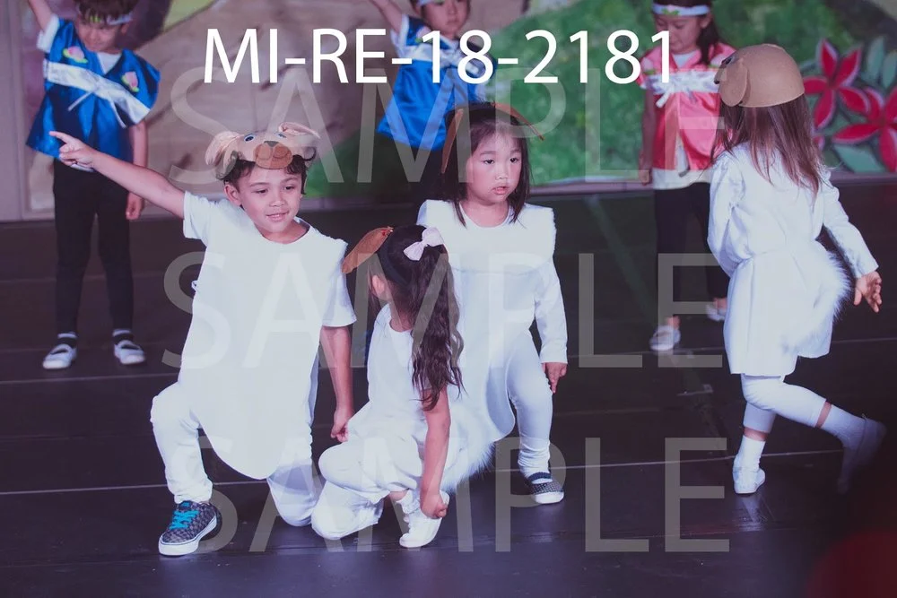 MI-RE-18-2181.jpg