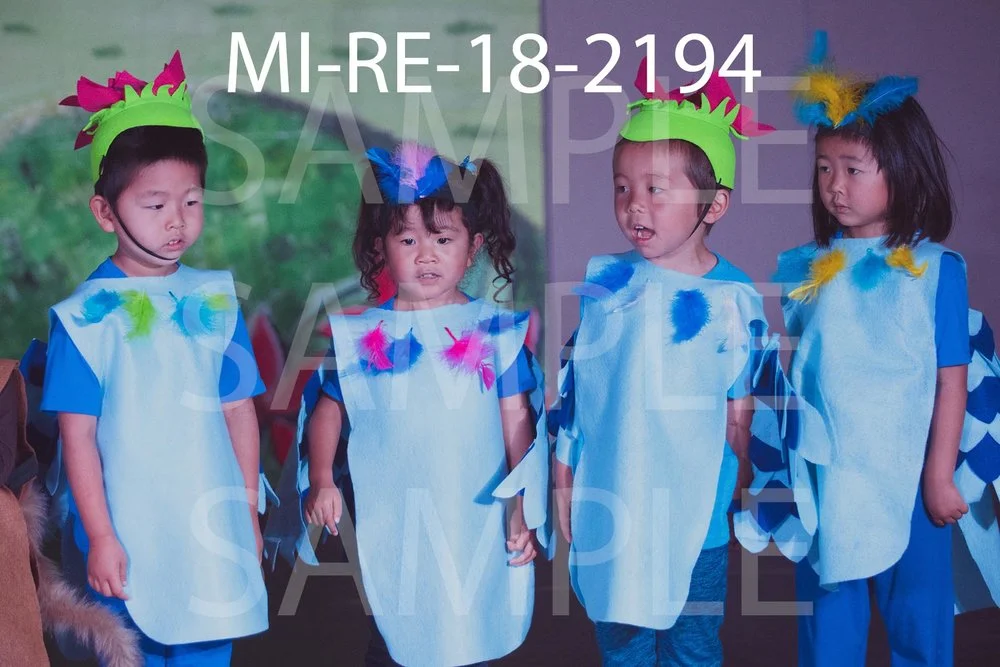 MI-RE-18-2194.jpg