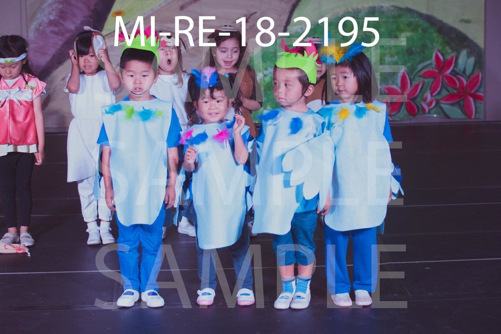 MI-RE-18-2195.jpg