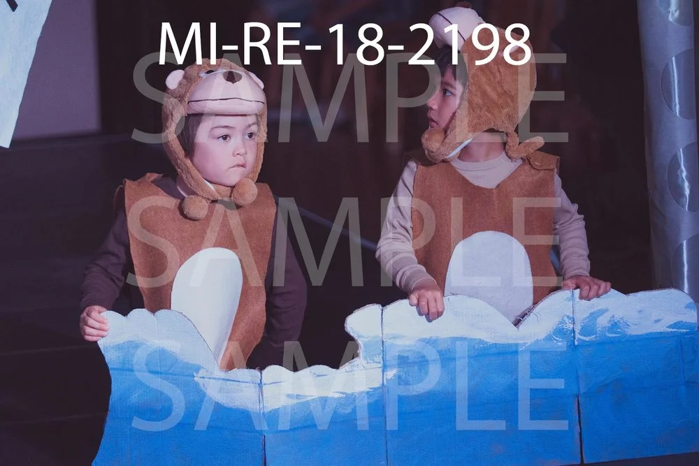 MI-RE-18-2198.jpg