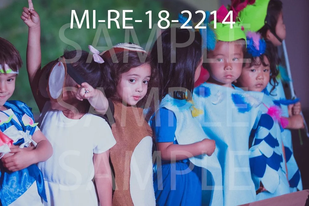 MI-RE-18-2214.jpg