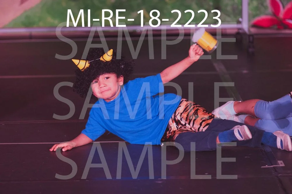 MI-RE-18-2223.jpg