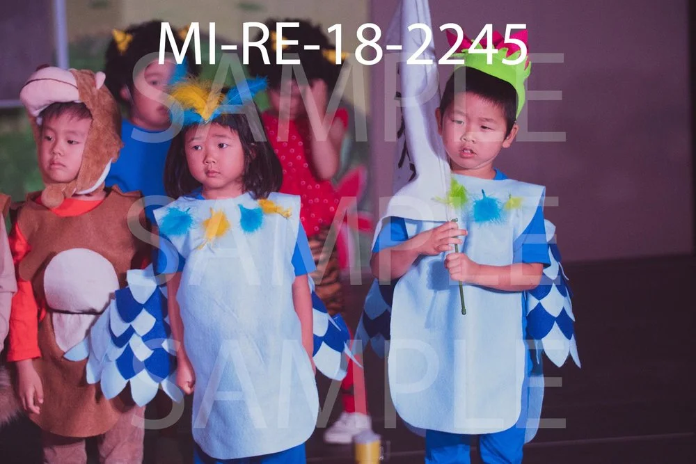 MI-RE-18-2245.jpg