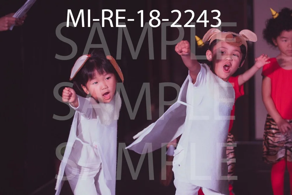 MI-RE-18-2243.jpg