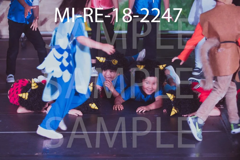 MI-RE-18-2247.jpg