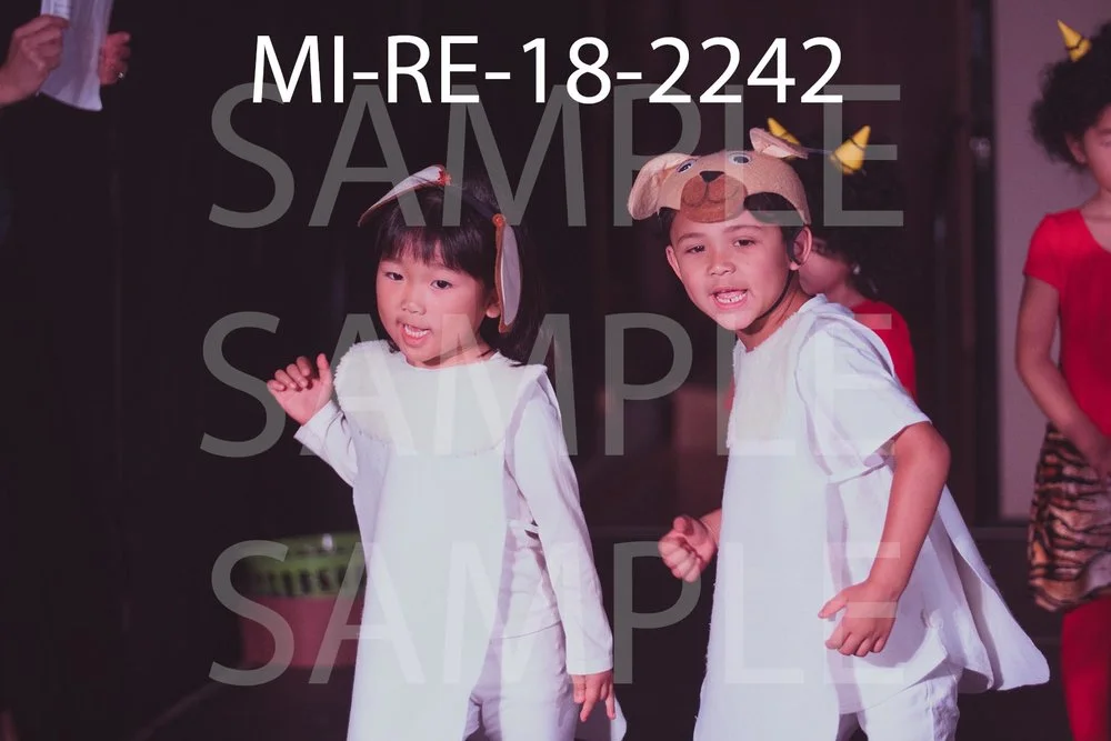 MI-RE-18-2242.jpg