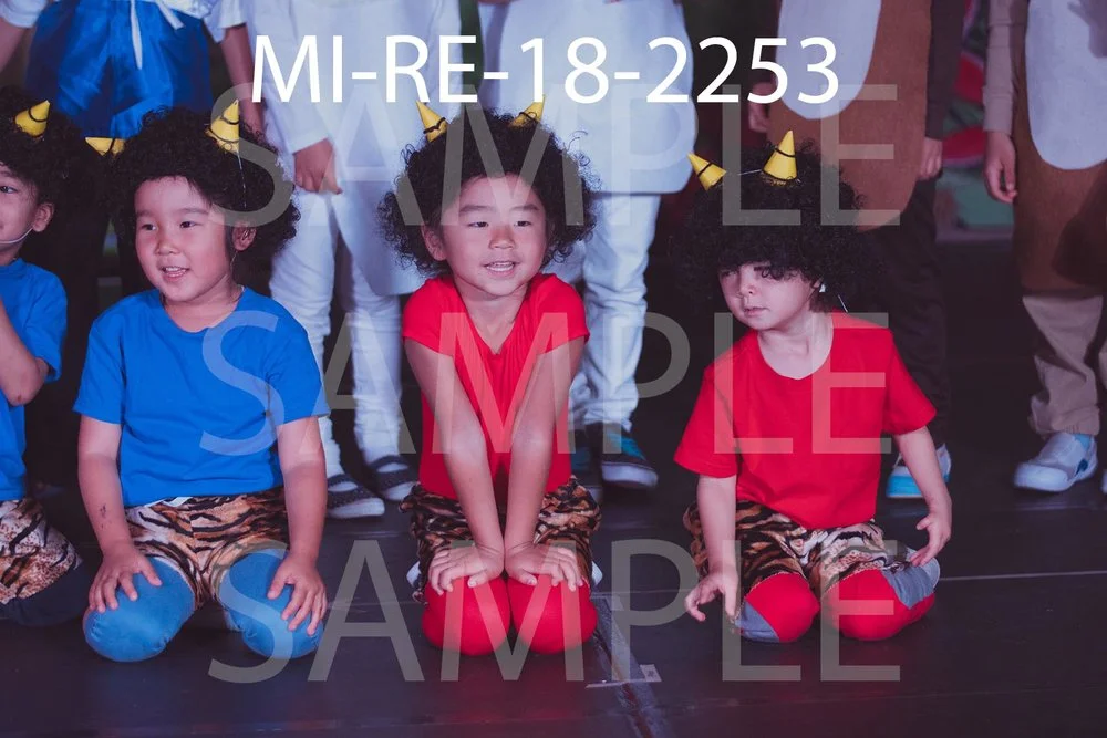 MI-RE-18-2253.jpg