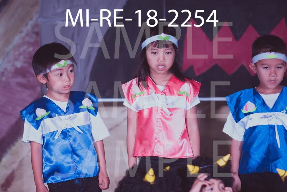 MI-RE-18-2254.jpg