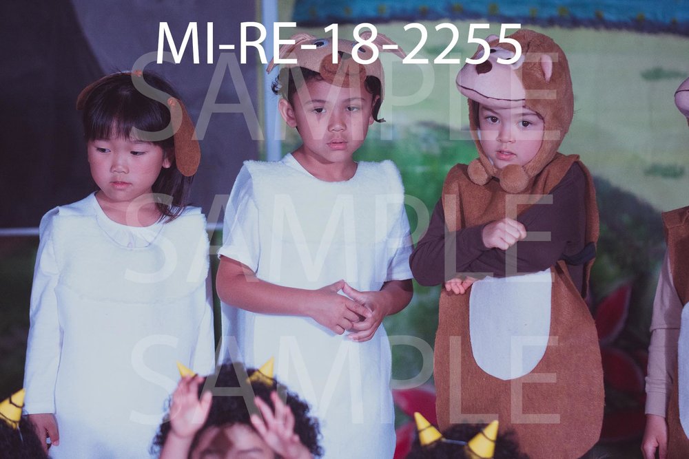 MI-RE-18-2255.jpg