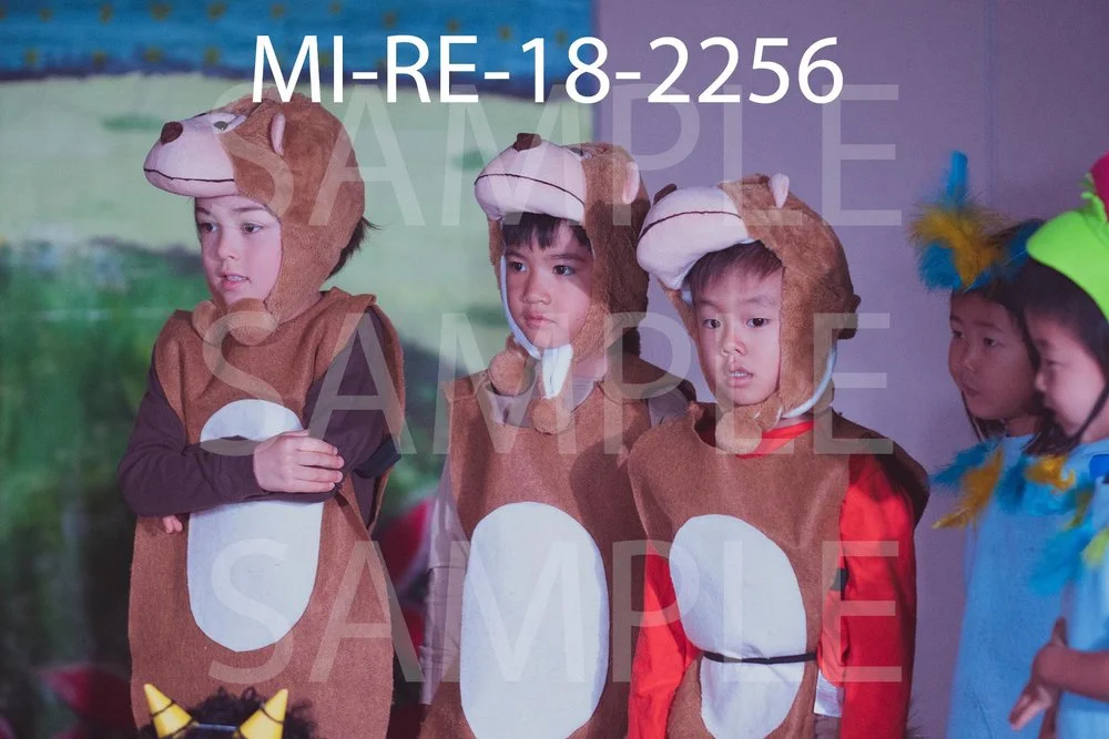 MI-RE-18-2256.jpg