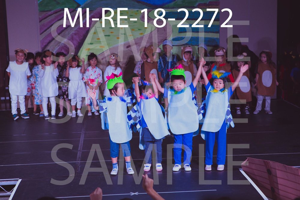 MI-RE-18-2272.jpg