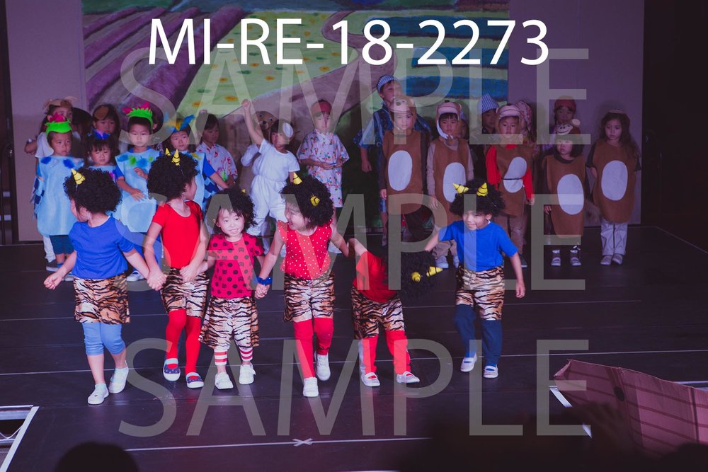 MI-RE-18-2273.jpg