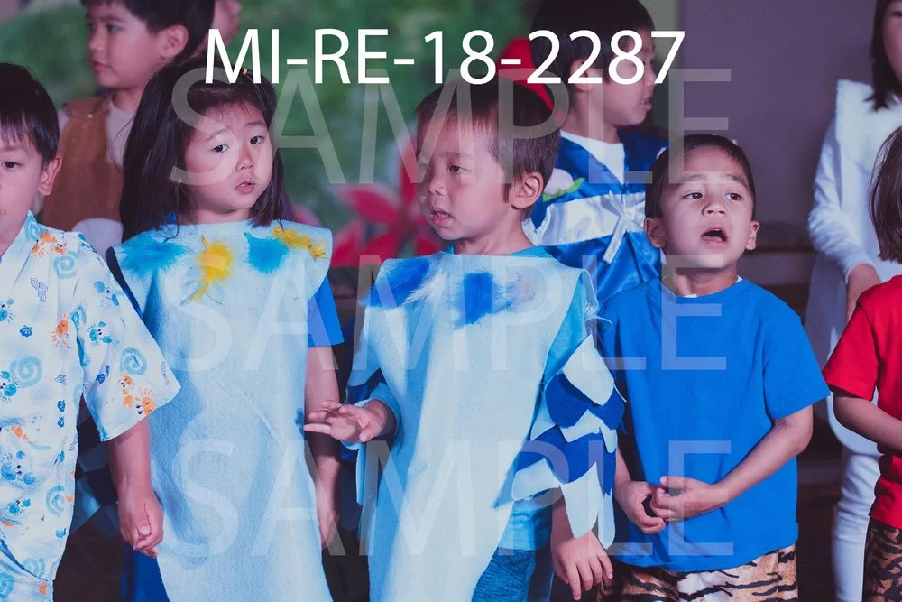 MI-RE-18-2287.jpg