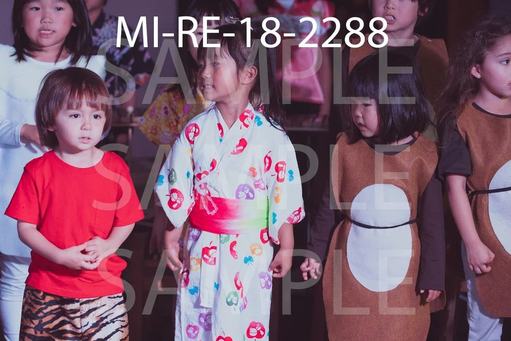 MI-RE-18-2288.jpg