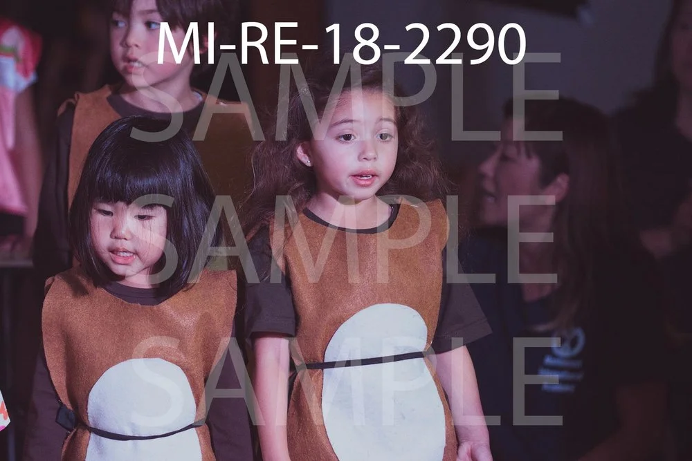 MI-RE-18-2290.jpg