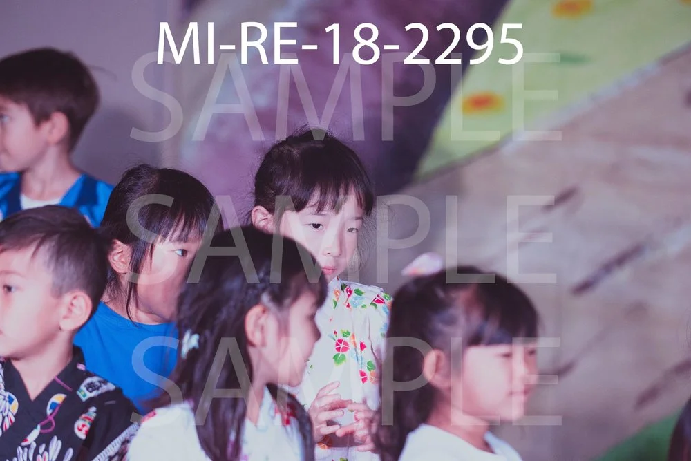 MI-RE-18-2295.jpg