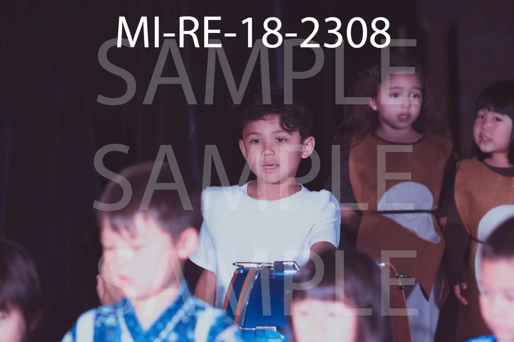 MI-RE-18-2308.jpg