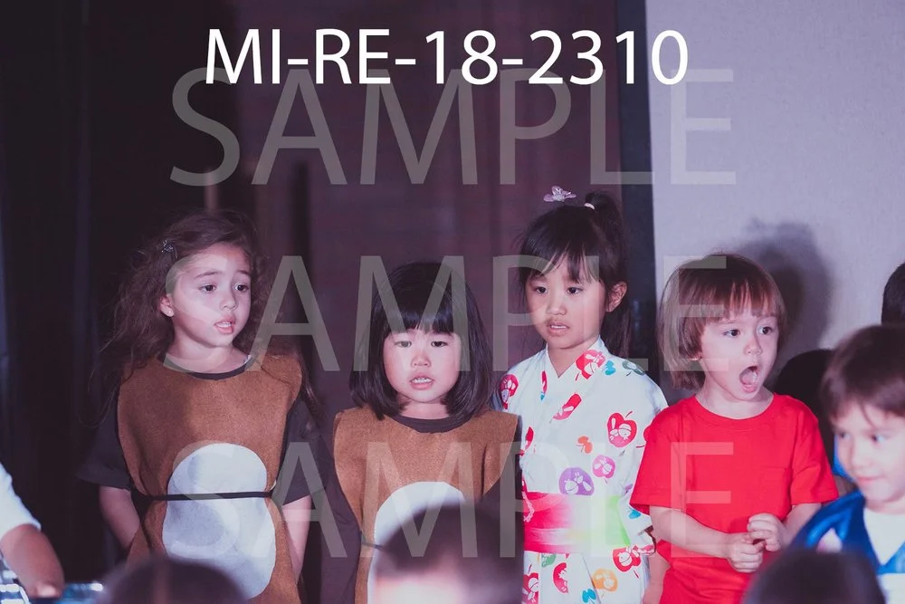 MI-RE-18-2310.jpg
