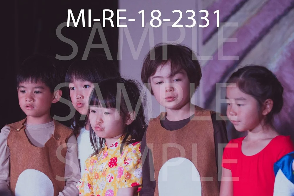 MI-RE-18-2331.jpg